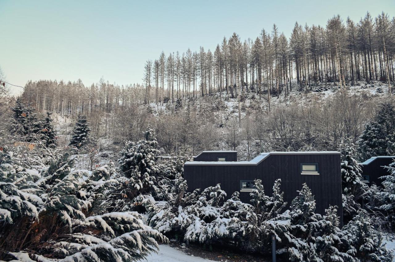 Tiny House Nature 12 - Green Tiny Village Harz Osterode am Harz 외부 사진