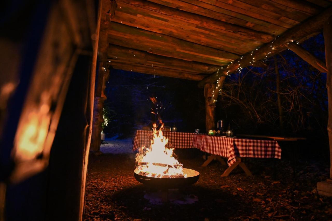 Tiny House Nature 12 - Green Tiny Village Harz Osterode am Harz 외부 사진