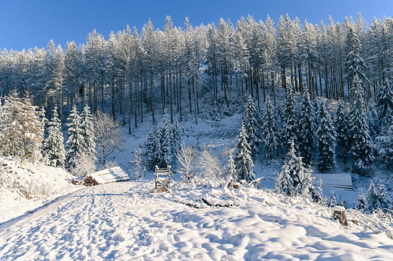 Tiny House Nature 12 - Green Tiny Village Harz Osterode am Harz 외부 사진